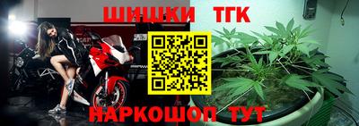 шишки Новодвинск
