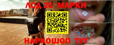 шишки Новодвинск