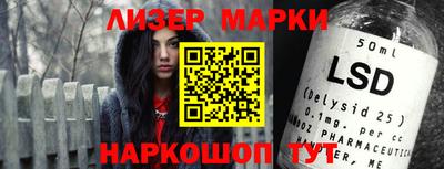 шишки Новодвинск