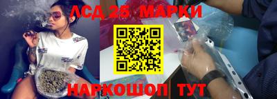 шишки Новодвинск