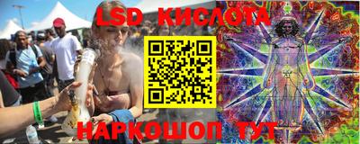 шишки Новодвинск