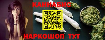 шишки Новодвинск