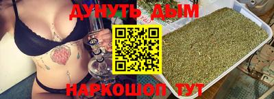 шишки Новодвинск
