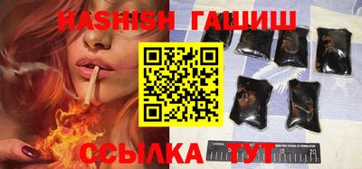 шишки Новодвинск